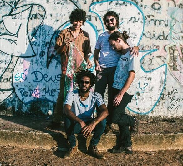 Boogarins