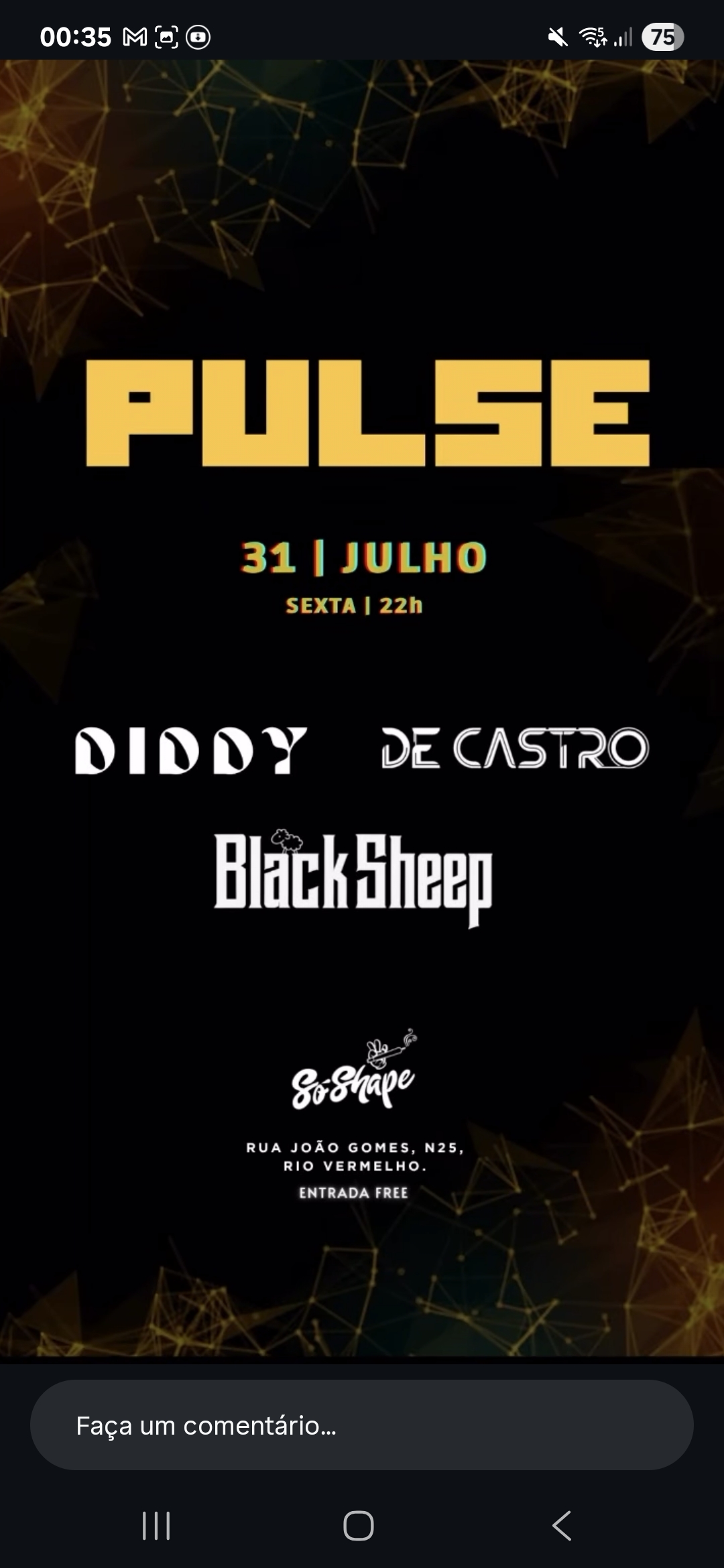 Festa Pulse – Diddy, Black Sheep e De Castro